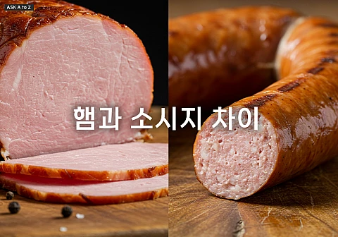 햄과 소시지, 헷갈리지 마세요! 제조 방식부터 다른 결정적 차이 햄과 소시지, 헷갈리지 마세요! 제조 방식부터 다른 결정적 차이