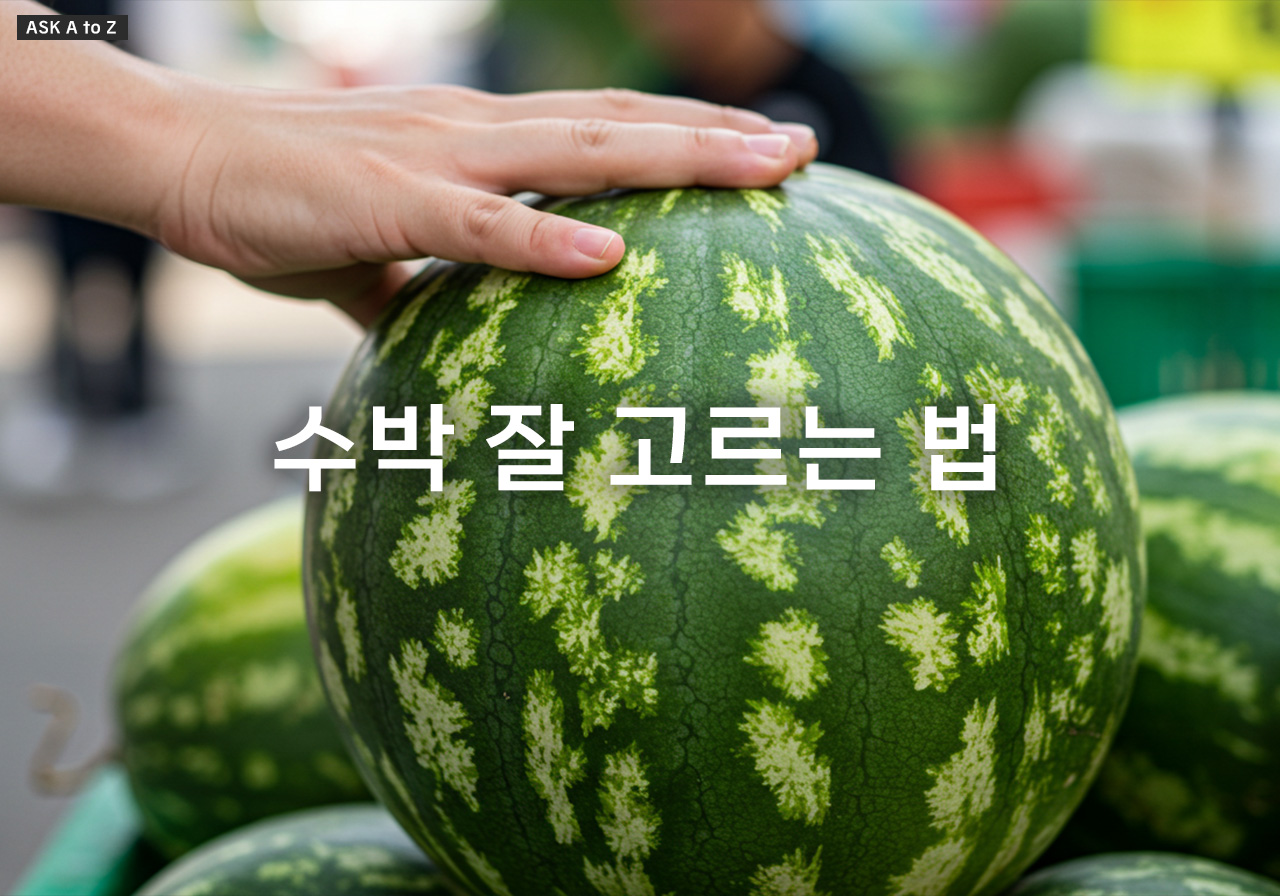 여름 필수템 수박! 어떤 모양이 가장 달콤할까?