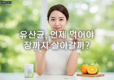 유산균, 언제 먹어야 장까지 살아갈까? 공복 vs 식후 완벽 분석 유산균, 언제 먹어야 장까지 살아갈까? 공복 vs 식후 완벽 분석