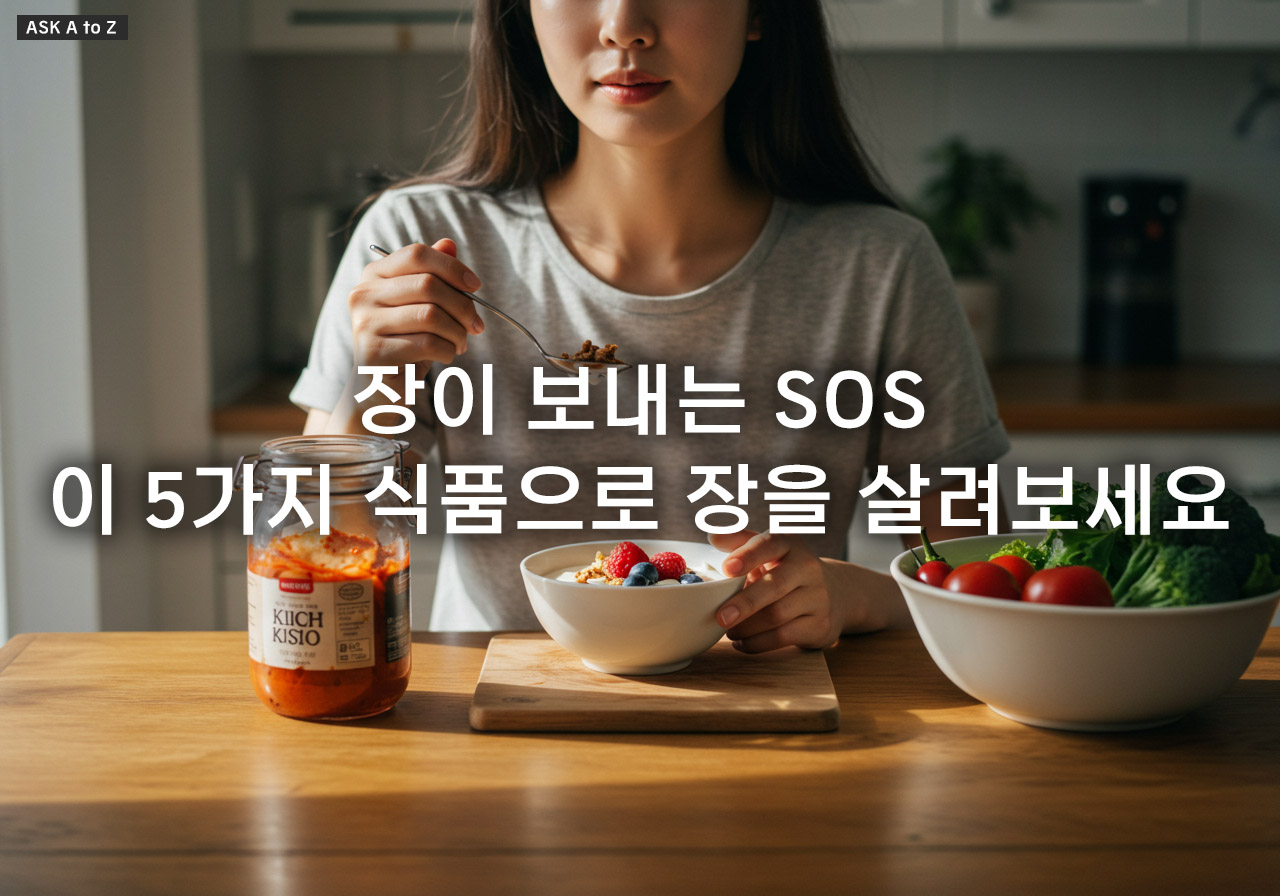 장 건강에 좋은 식품, 이것만 먹어도 장이 편안해집니다