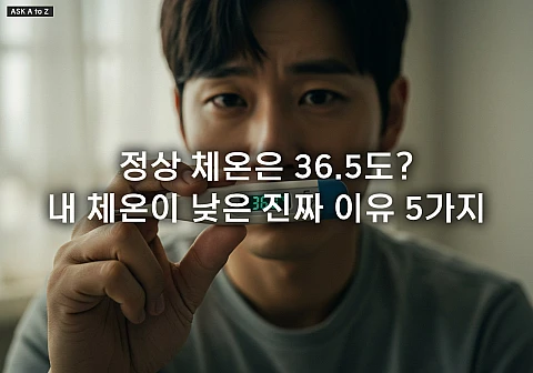 체온이 낮은 편이면 문제일까요? 저체온 원인 4가지와 면역력 올리는 생활 습관 체온이 낮은 편이면 문제일까요? 저체온 원인 4가지와 면역력 올리는 생활 습관