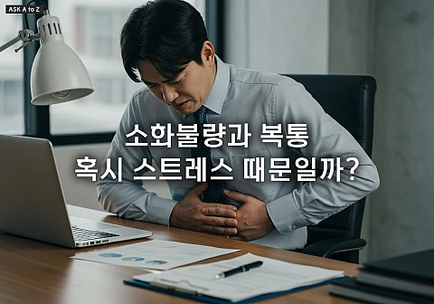 스트레스가 위장에 미치는 영향, 당신의 위장은 안녕하신가요?