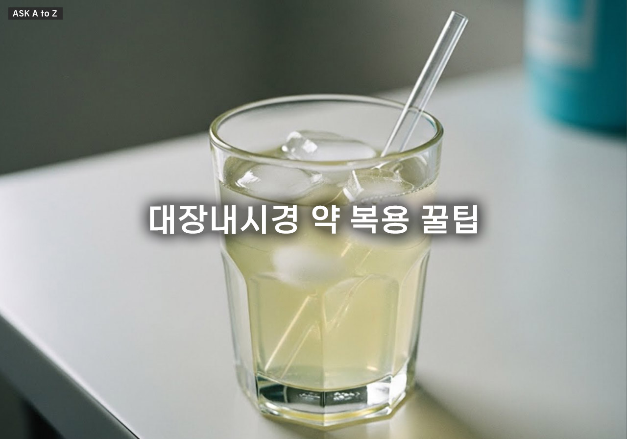 대장내시경 약 복용 꿀팁! 2025년 최신 검진 준비 방법 완벽 가이드