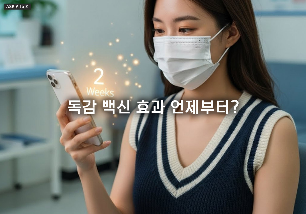 독감 백신 효과 언제부터? 접종 후 면역력 생성에 필요한 2주 기간 가이드