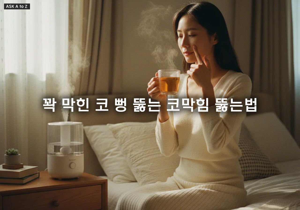 꽉 막힌 코 뻥 뚫는 코막힘 뚫는법 민간요법 5가지: 지압부터 습도 관리까지