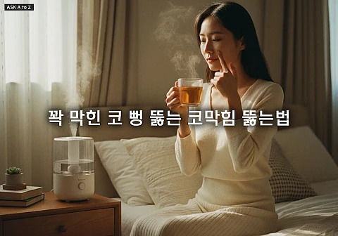 꽉 막힌 코 뻥 뚫는 코막힘 뚫는법 민간요법 5가지: 지압부터 습도 관리까지