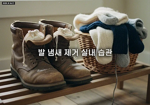 발 냄새 제거 실내 습관: 겨울 신발·양말 관리로 악취의 주범을 잡는 3단계 루틴 발 냄새 제거 실내 습관: 겨울 신발·양말 관리로 악취의 주범을 잡는 3단계 루틴