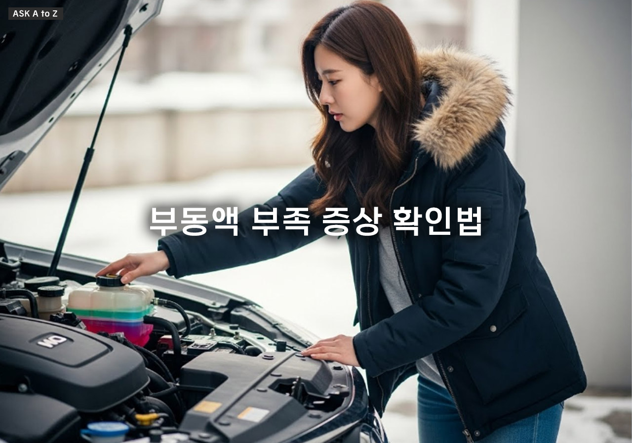 부동액 부족 증상 확인법, 겨울철 냉각수 부족 시 엔진 과열 완벽 예방 가이드