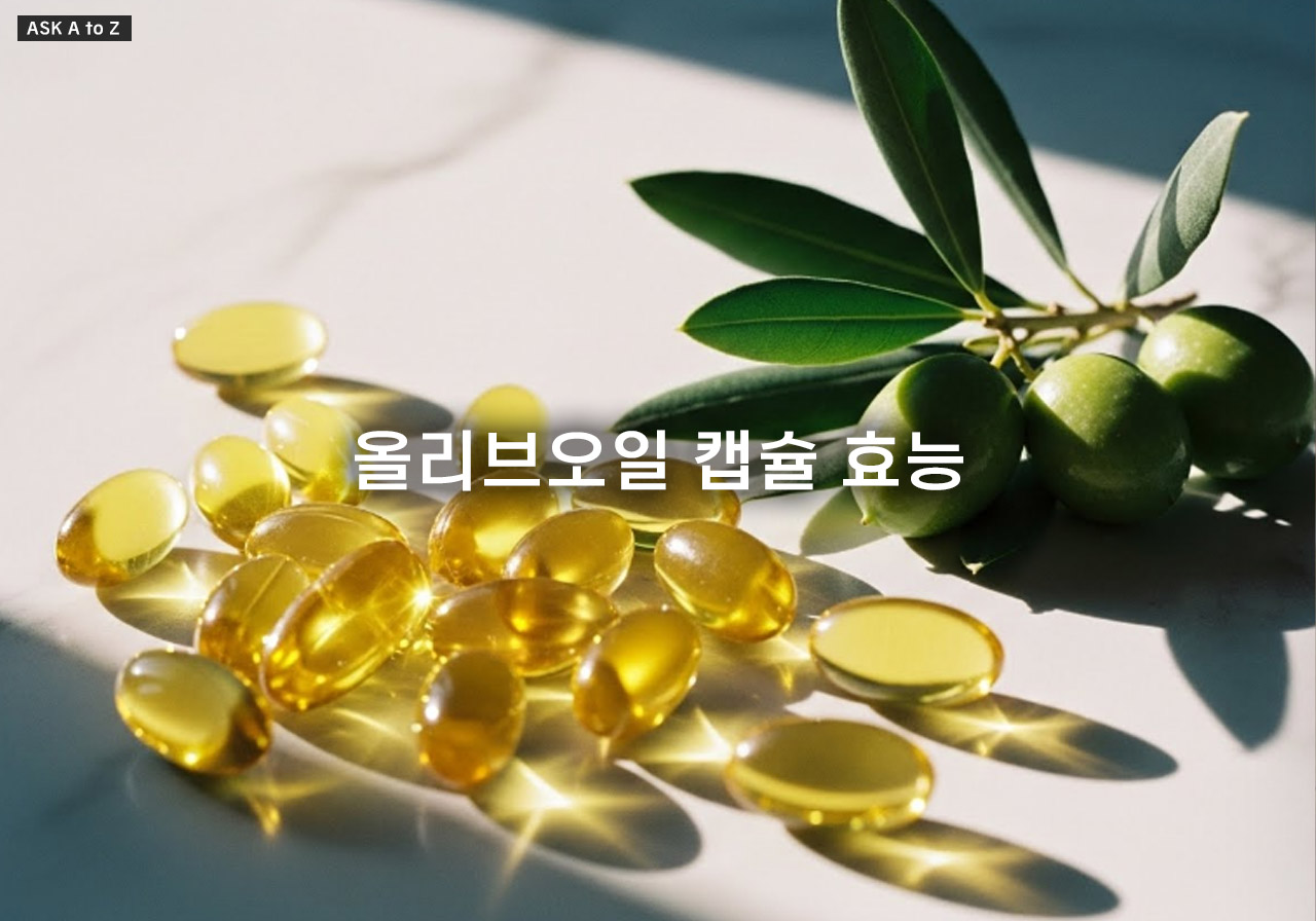 올리브오일 캡슐 효능, 염증 관리와 혈관 건강을 위한 선택 요령