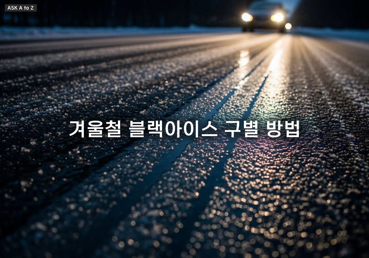 겨울철 블랙아이스 구별 방법 5가지: 위험 구간 식별 및 미끄러짐 발생 시 감속 요령