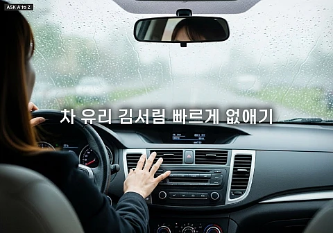 차 유리 김서림 빠르게 없애기: 히터·에어컨 조합으로 제거하는 완벽한 실전 방법