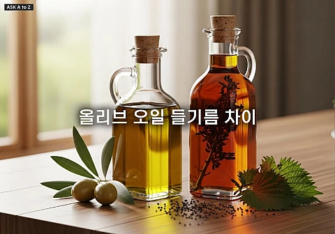 올리브 오일 들기름 차이, 건강을 위해 꼭 알아야 할 선택 기준 3가지