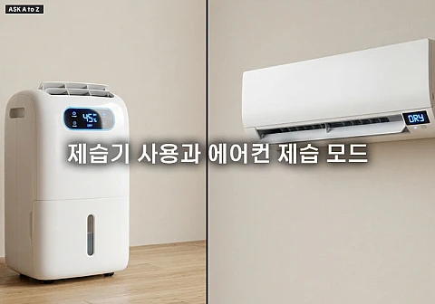 장마철 딜레마! 제습기 사용과 에어컨 제습 모드, 뭐가 더 이득일까?