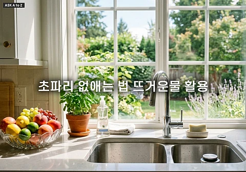 초파리 없애는 법 뜨거운물 온도 설정과 하수구 알 박멸 가이드